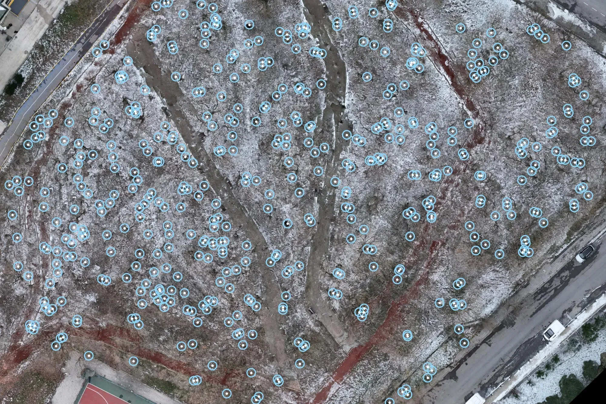 Piknik alanında LiDAR ile ağaç sayımı