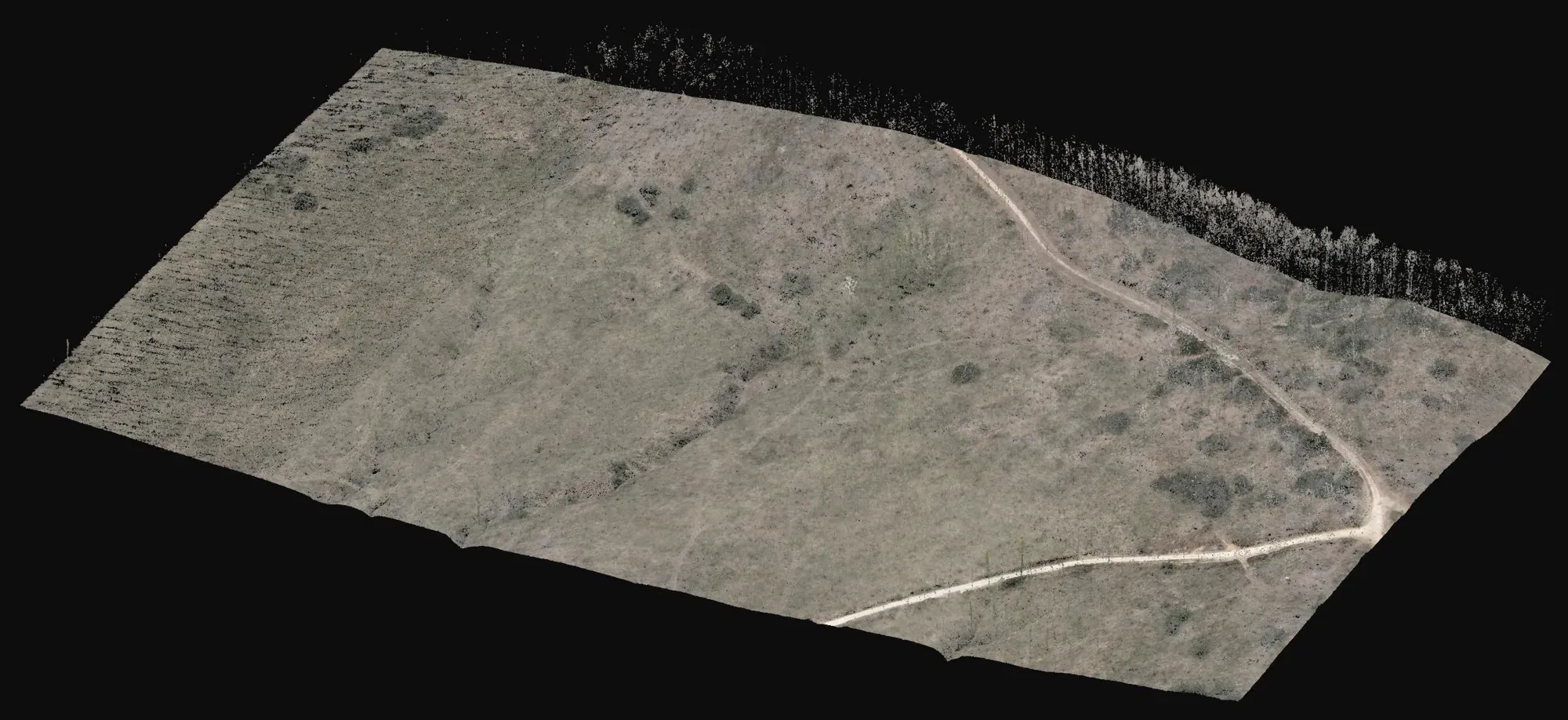 LiDAR nokta bulutunun eğik görünümü